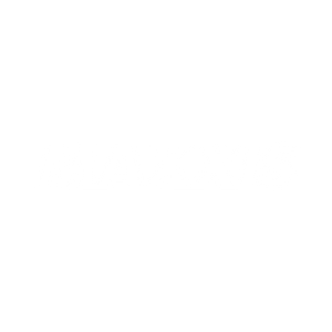 MAXXIS