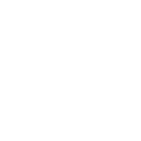 MAXXIS