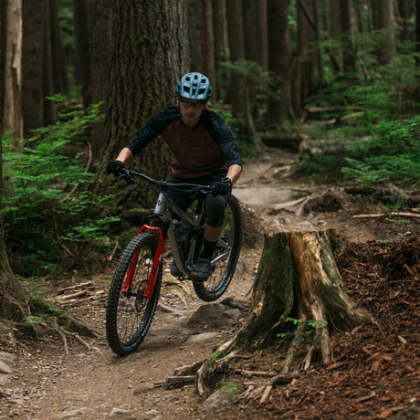 Trail