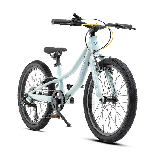 BICICLETA PARA NIÑOS NIÑAS RODA PRO 20 v4