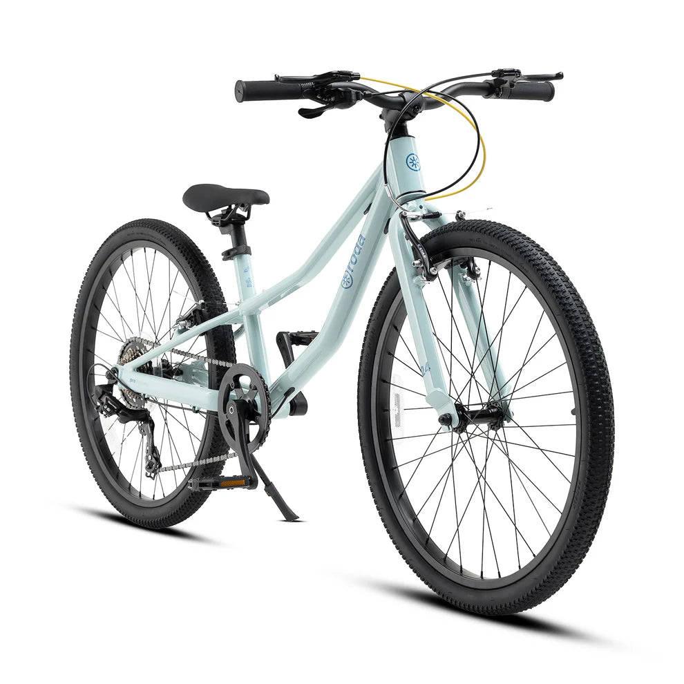 BICICLETA PARA NIÑOS NIÑAS RODA PRO 24 v4