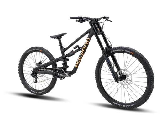 Bicicleta Polygon Collosus DH7 Black