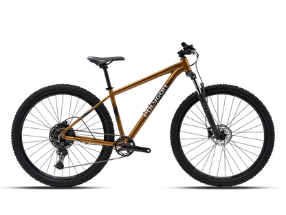 Bicicleta Polygon Cascade 5 29