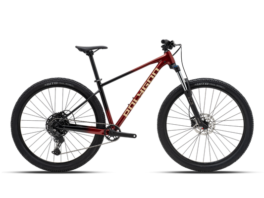 Bicicleta Polygon Xtrada 5 UDH 29