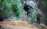Bicicleta Polygon Collosus DH9 2027