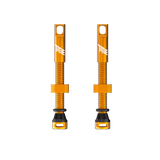 Valvula Tubular Title